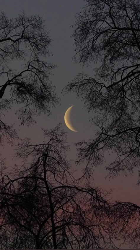 Wallpapers Of Moon, Moon And Sky Aesthetic, Scene Astethic, Moon Asthetics Photos, Aesthetic Moon Pics, Astethic Wallpaper Tumblr, Moon Aesthetic Photography, Selenophile Aesthetic Wallpaper, New Moon Aesthetic