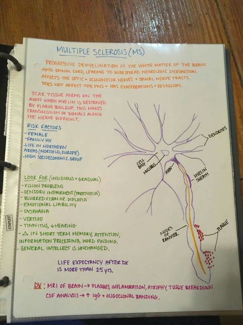 Neurology Nursing Notes, Neurology Nursing, Multiple Sclerosis Symptoms, Lpn Schools, Nursing School Essential, Nursing School Motivation, Nurse Study Notes, Nursing Student Tips, Pharmacy School