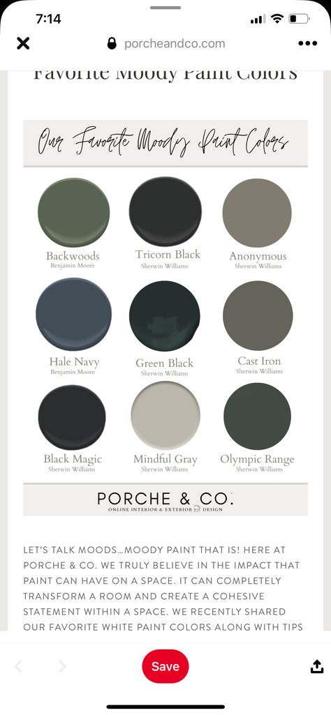 Dark Moody Colour Palette, Charcoal Grey Color Pallet, Dark Academic Colour Palette, Dark And Stormy Color Palette, Gloomy Colour Palette, Dark Grey Colour Palette, Grey Colour Palette, Dark Grey Colour, Moody Vintage