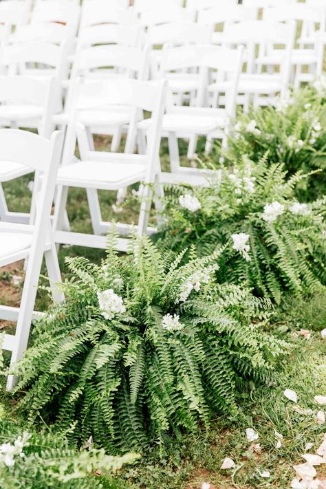 Outdoor Aisle Flowers, Wedding Aisle Decorations Greenery, Wedding Aisle Outdoor Pathways, Using Ferns In Wedding Decor, Fern Aisle Decor, Wedding Decor With Ferns, Weddings With Ferns, Wedding Decor Live Plants, Fern Arrangements Wedding