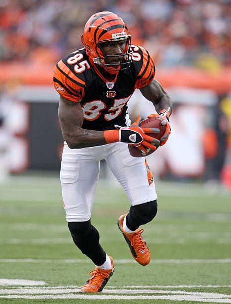 Chad Ochocinco, Football Drip, Cincinnati Bengals Football, American Football League, Bengals Football, Nfl Pictures, Sports Stars, Sports Photos, Arizona Cardinals