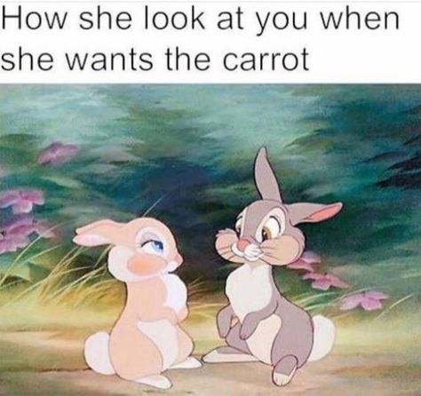 Bunny Meme, No Ordinary Girl, Couple Memes, Funny Relationship Memes, Dirty Memes, Weird Quotes Funny, Boyfriend Memes, Funny Jokes For Adults, Boyfriend Humor