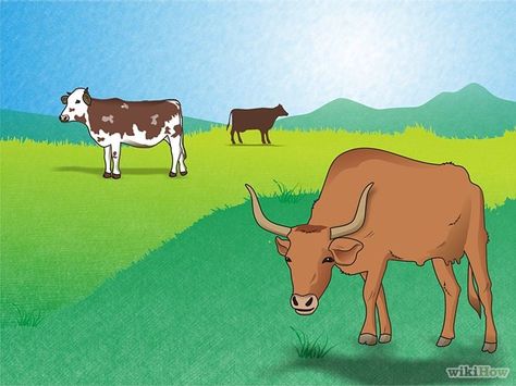 How to Raise Cattle: 10 Steps (with Pictures) - wikiHow Farm Living, Animals Farm, Beef Cattle, Farms Living, Food Preservation, Grass Fed Beef, Natural Living, Backyard Ideas, Farm Animals