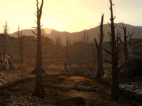 Ghoul Aesthetic Fallout, Fallout Ghoul Aesthetic, Fallout New Vegas Screenshots, Fallout Astethic, Raider Aesthetic Fallout, Nuclear Warfare Aesthetic, Nuclear Fallout Aesthetic, Fallout Moodboard, Fallout Screenshots