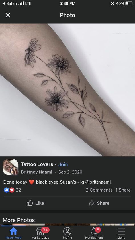 Black Eyed Susan Tattoos, Blackeyed Susans Tattoo, Brown Eyed Susan Tattoo, Black Eyed Susan Tattoo, Gram Cracker, Larkspur Tattoo, Daisy Tattoo Designs, Fern Tattoo, Feminine Tattoo Sleeves