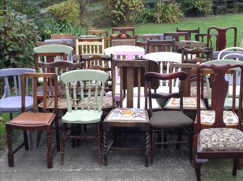 Some of our beautiful mismatched chairs all washed and lined up ready to be loaded up for our next lovely wedding.... Birdcagesanddragonflieshire@gmail.com Mismatched Coffee Tables, Mismatched Dining Chairs Wedding, Mismatched Wedding Chairs, Mismatch Chairs Dining Table, Mismatched Chairs Dining Table, Mismatched Chairs Wedding, Fantasy Cafe, Burnt Forest, Scotland Cottage