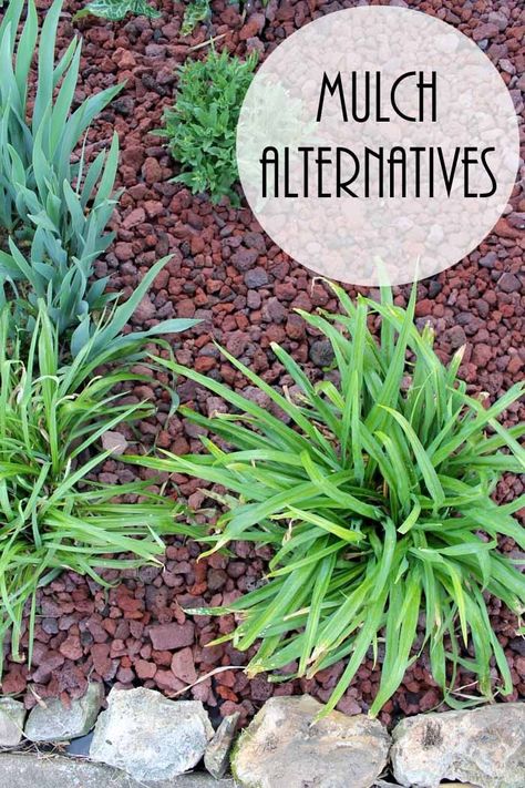 Boost curb appeal to your home with alternatives to traditional landscape materials! Mulch Alternatives, Adding Curb Appeal, Mulch Landscaping, Pergola Pictures, Making Plant Pots, Country Chic Cottage, Landscaping With Large Rocks, Landscape Materials, Landscape Plans