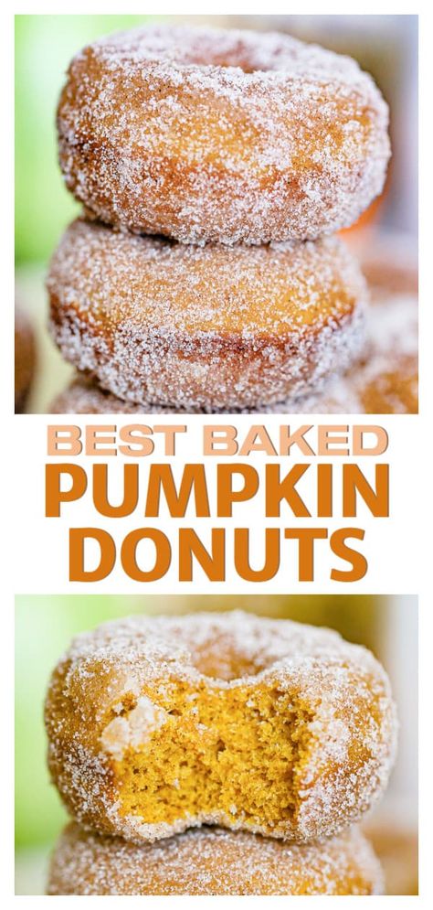 Pumpkin Cake Donut Recipe, Fall Desserts Pumpkin, Pumpkin Donuts Recipe, Pumpkin Donut, Doughnut Recipe Easy, Pumpkin Doughnut, Cake Donuts Recipe, Homemade Donuts Recipe, Recipes Pumpkin