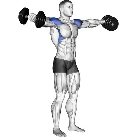 Dumbbell Lateral Raise Standards for Men and Women (lb) - Strength Level Standards For Men, Dumbbell Side Lateral Raise, Dumbbell Lateral Raise, Upper Body Routine, Dumbbell Workout Routine, Dumbbell Workout Plan, Push Day Workout, Shoulder Press Machine, Chest And Tricep Workout