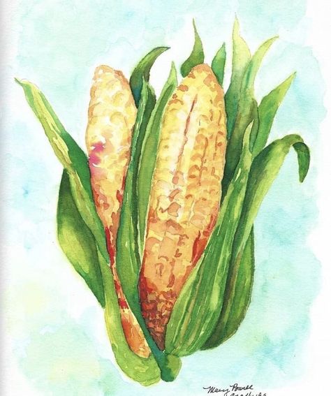 Ear Of Corn Drawing, Corn Watercolor Painting, Painting With Corn On The Cob, Watercolor Corn Field, Corn Plant Illustration, Corn Watercolor, Ear Of Corn, Farm Paintings, Ears Of Corn