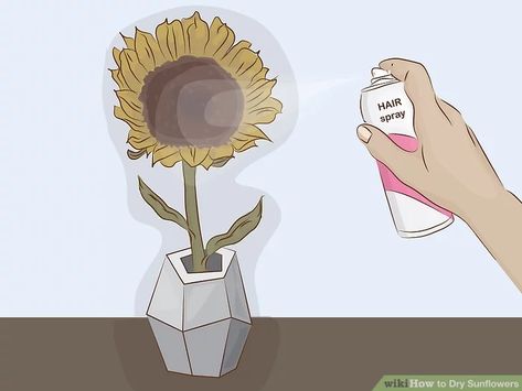 4 Ways to Dry Sunflowers - wikiHow Dried Sunflower Bouquet, Dry Sunflowers, How To Make Sunflower, Dried Sunflowers, Sunny Flowers, Dried Flowers Diy, Sunflower Head, Small Sunflower, Burst Of Color