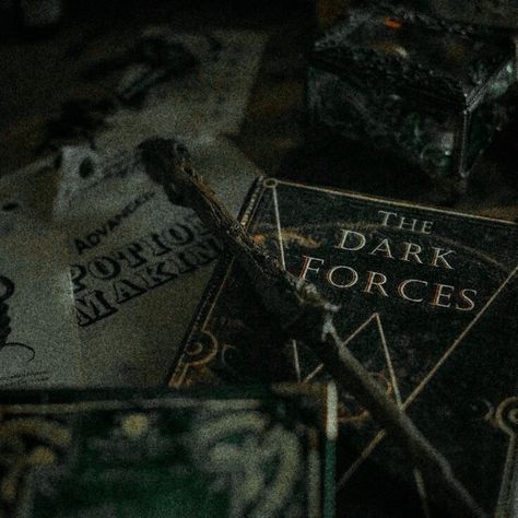 Slytherin Room, Rabastan Lestrange, Dark Harry, Draco Malfoy Aesthetic, Slytherin Pride, Images Harry Potter, Slytherin House, Dark Green Aesthetic, Hogwarts Aesthetic