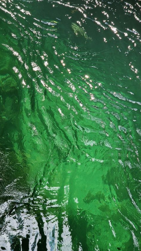 River Water Aesthetic, Fresh Green Aesthetic, Green Water Aesthetic, Water Caustic, River Underwater, River Texture, River Aesthetic, Green Soul, Green Inspo