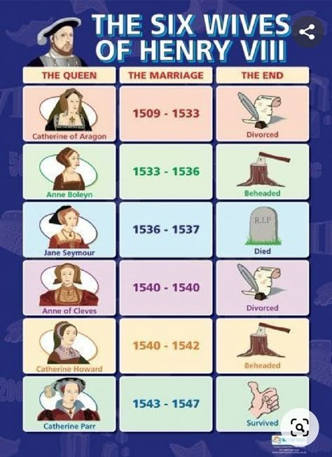 European Royal Family Tree, Six Wives Of Henry Viii, Henry Vii, Wives Of Henry Viii, Royal Family Trees, Anne Of Cleves, History Posters, Uk History, Historia Universal