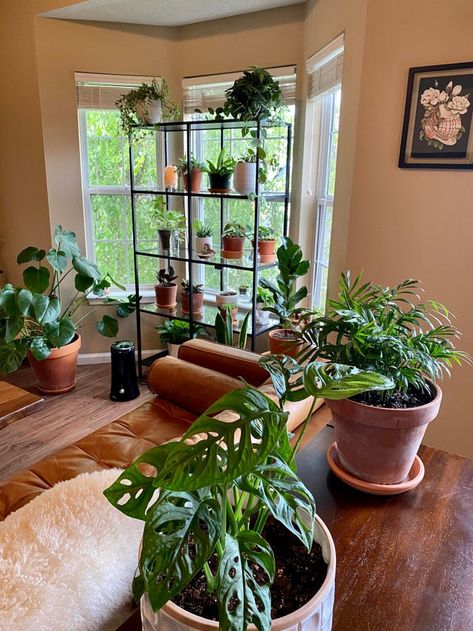 Rainforest Aesthetic Room, Plant Jungle Bedroom, Plant Jungle Living Room, House Plant Jungle, Plant Jungle Home, Apartment Decor Black, Sleeping Room Design, Jungle Room Decor, Victorian Bohemian Decor