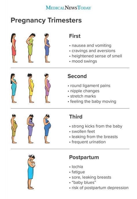 Pregnancy Chart, Postpartum Care Kit, Pregnancy Timeline, Pregnancy Checklist, Planning Pregnancy, Pregnancy Info, Pregnancy Guide, Pregnancy Advice, Baby Life Hacks