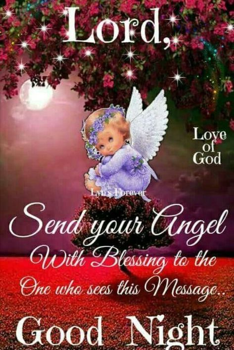 Lord Send your angel with blessings Good Night Angel, Evening Blessings, Good Night Family, Morning Thursday, Good Night Prayer Quotes, New Good Night Images, Blessed Night, Good Night Love Quotes, Good Night Love Messages