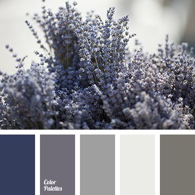 colour combination for repair, colour palette for a winter wedding, dark blue-gray, dark gray, gray and violet, gray beige, gray-lilac, light gray, light violet colour, monochrome shades of gray, pale Persian blue, pale silver colour, Grey Bedrooms, Color Concept, Wall Living Room, Bedrooms Ideas, Paint Colours, Living Room Bathroom, Colour Board, Remodel Bedroom, Room Bathroom