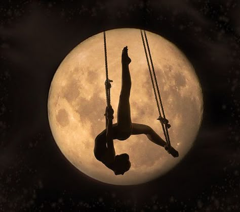 Flying Trapeze, Circus Aesthetic, The Night Circus, Dark Circus, Aerial Acrobatics, Crooked Kingdom, Circus Performers, Aerial Dance, Night Circus