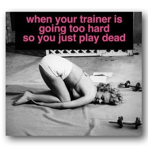 Fitness Humor Hilarious, Sleep Management, Workout Memes Funny, Gym Humour, Gym Memes Funny, Fitness Humor, Funny Fitness, Week Challenge, Fitness Outfits