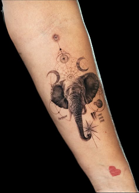 Elephant Tattoo Design, Single Line Tattoo, Bull Art, Elephant Tattoo, Tattoo Style Drawings, Elephant Tattoos, Spine Tattoos, Leg Tattoo, Tattoos Designs