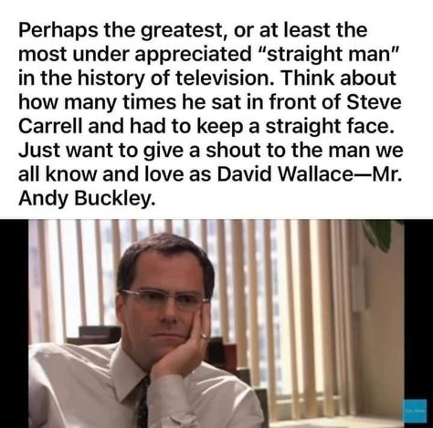 Andy Buckley, History Of Television, The Office, Tv, Funny, Quick Saves