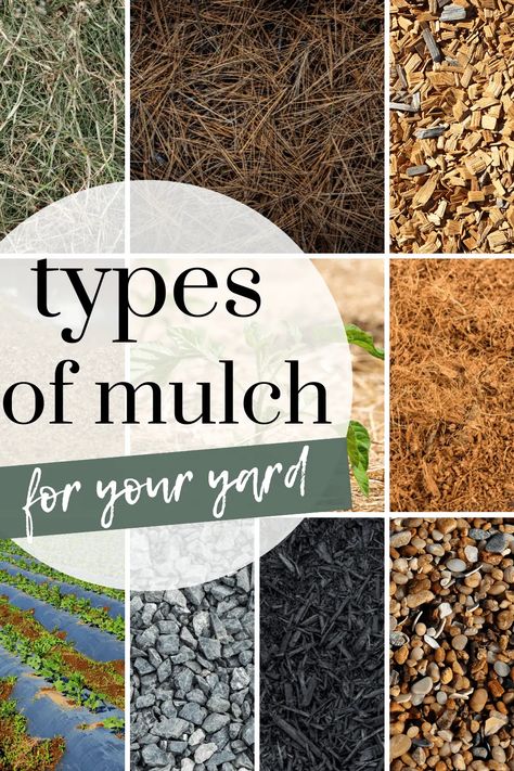 There are so many different types of mulch, it can definitely feel overwhelming when it comes time to choose one. Let's explore 11 different types of mulch and learn how to choose the best one for you! Mulch Garden, The Prairie Homestead, Prairie Homestead, Types Of Mulch, Organic Gardening Tips, Easy Garden, Veggie Garden, Growing Food, Mulch