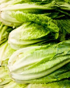 Romaine Lettuce Growing, Cholesterol Remedies, Cholesterol Lowering Foods, Leafy Vegetables, Alkaline Diet, Alkaline Foods, Romaine Lettuce, No Carb Diets, Lettuce