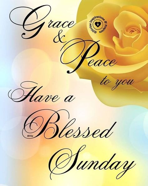 Sunday Greetings Blessing, Sunday Morning Blessings, Divine Inspiration And Prayers, Sunday Morning Prayer, Good Morning Wishes Love, Happy Sunday Images, Powerful Morning Prayer, Sunday Prayer, Sunday Morning Quotes