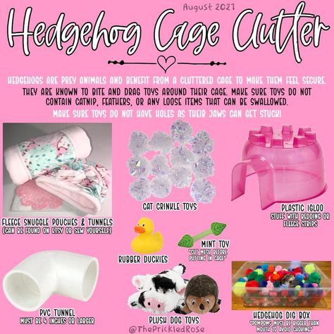 Hedgehog Bin Cage Ideas, Toys For Hedgehogs, Hedgehog Habitat Ideas, Diy Hedgehog Toys, Hedgehog Cage Ideas, Kibble Toppers, Hedgehog Pet Cage, Hedgehog Treats, Hedgehog Room