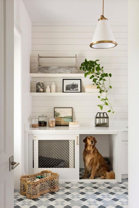 This Mudroom Is All About The Pups Dog Nook, Dog Spaces, Metal Clothes Rack, Pet Spaces, Dog Ideas, Animal Room, Dog Rooms, Indoor Dog, Mud Room