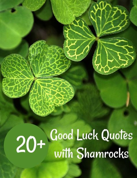 Lucky Friendship Quotes, Good Luck Poem, Luck Quotes Inspirational, Good Luck Quotes Encouragement, Best Of Luck Wishes, Shamrock Images, Quotes About Luck, Clover Quote, Irish Prayer