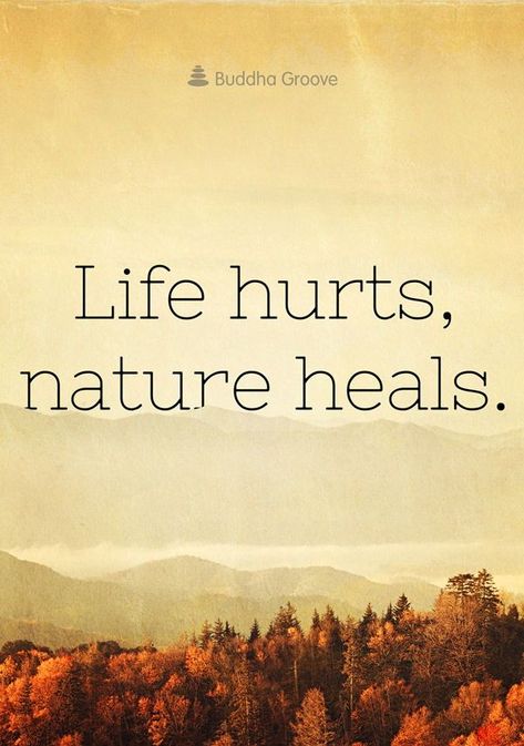 Nature Quotes Inspirational, Mother Nature Quotes, Earth Quotes, Nature Quotes Adventure, Quotes Adventure, Motorcycle Quotes, Hiking Quotes, Outdoor Quotes, Adventure Quotes