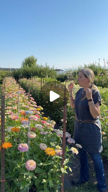 Erin Benzakein - Floret on Instagram: "Yesterday we finished filming the very last video in a new course we’re working on all about flower arranging and now I can turn my attention back to the farm. Here’s a walkthrough of 5 years worth of progress in a blush selection of @dawncreekfarm zinnias. #zinniabreeding #floretseeds" Erin Benzakein, Flower Arranging, The Farm, Then And Now, And Now, Flower Arrangements, Seeds, I Can, Blush