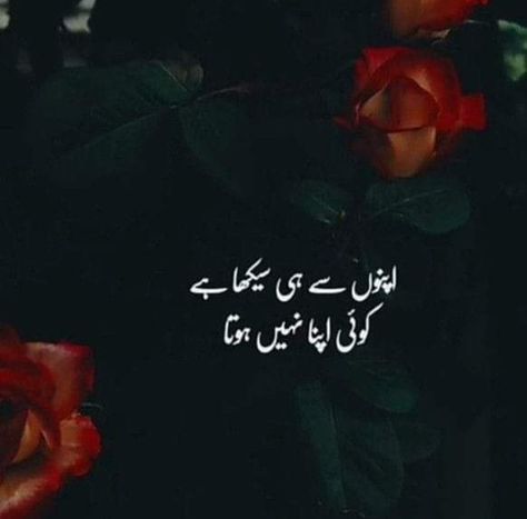 Fake Relatives Quotes In Urdu, Poetry For Relatives In Urdu, Toxic Relatives Quotes In Urdu, Relatives Quotes Bad In Urdu, True Words Quotes In Urdu, Jhooth Quotes In Urdu, Attitude Quotes For Relatives, Quotes Deep Feelings In Urdu, Relative Quotes Bad