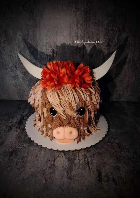 Highland Cow Cake Cow Bridal Shower Cake, Highlander Cupcakes, Fluffy Cow Cake, Highland Cake, Cow Birthday Cakes, Highland Cow Smash Cake, Highland Cow Cake Tutorial, Hyland Cow Cake, Highland Cow First Birthday Party