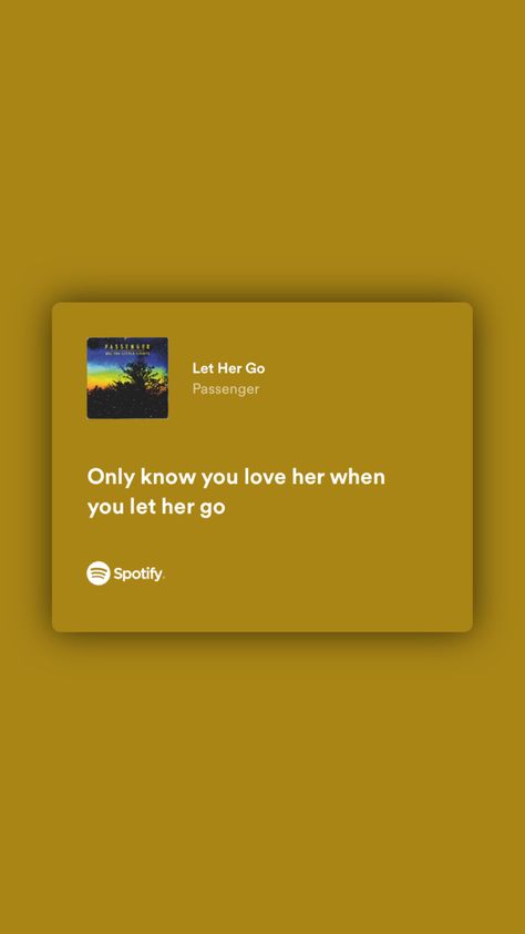 Let Her Go Song, Let Her Go Passenger, Passenger Lyrics, Let Her Go Lyrics, Passenger Let Her Go, Journal Pictures, Music Poster Ideas, My Love Song, Spotify Lyrics