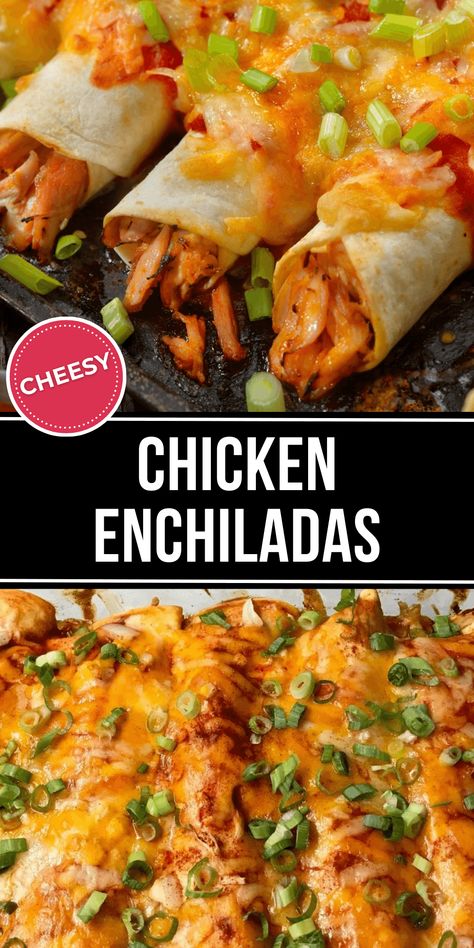 These Cheesy Chicken Enchiladas: are comfort food classic, a weeknight dinner hero, and a dish with endless possibilities. Achieve that melty cheese pull, perfectly seasoned chicken, and flavorful sauce quickly and easily. Classic Weeknight Dinners, Pulled Chicken Enchiladas, Best Ever Chicken Enchiladas, Shredded Chicken For Enchiladas, Enchalidas Recipes Chicken Enchiladas, Chicken Enchiladas With Corn Tortillas, Chicken And Cheese Enchiladas, Recipes Enchiladas, Chicken Cheese Enchiladas