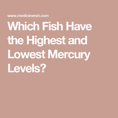 Which Fish Have the Highest and Lowest Mercury Levels? Low Mercury Fish, Fish Allergy, King Mackerel, Tuna Sandwich, Nutrition Guidelines, Aip Diet, Health Living, Muscle Gain, Pregnancy Health