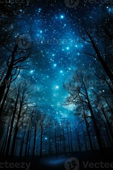 Moonlit forest under starry night sky background with empty space for text Starry Night Backgrounds, Starry Night Forest, Starry Forest, Night Bridge, Nursing Home Crafts, Starry Night Background, Night Sky Background, Moonlit Forest, Staircase Wall Decor