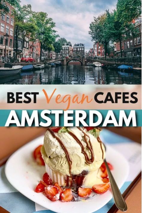 Top 8 Vegan Restaurants in Amsterdam with The Best Desserts Amsterdam Vegan, Quiche Vegan, Restaurants In Amsterdam, Vegan Tiramisu, Best Vegan Restaurants, Vegan Guide, Vegan Cafe, Vegan Cupcakes, Vegan Shopping