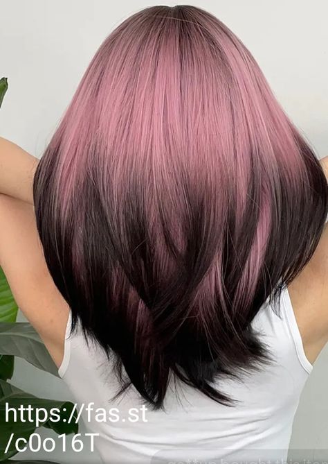 Pink Hair Ideas For Black Hair, Pink And Black Ombre Hair, Pink And Black Color Block Hair, Black Roots And Pink Hair, Hair Dye Ideas Whole Head, Cute Pink Hair Dye Ideas, Pink Hair Black Highlights, Black Pink Ombre Hair, Black Hair With Tips Dyed