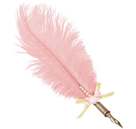 Feather Quill Pen, Dolores Umbridge, Pen Icon, Welcome To Hogwarts, Fancy Pens, Feather Quill, Pink Pens, Feather Pen, Png Aesthetic