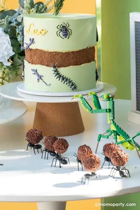 Get ready for a Creepy-Crawly Fun Birthday Bash that'll have your little ones buzzing with excitement! From bug-themed cakes to playful party games, we've got all the inspiration you need to throw the most unforgettable birthday party. Don't miss out on these unique and fun party ideas - Check out momoparty.com for more! Bugs Party Ideas, Bugs Theme Birthday Party, Bug Theme Cake, Bug First Birthday Party, Bug Cake Ideas, A Bugs Life Birthday Party, Bugs Birthday Party Ideas, Bug Themed Food, Insect Party Ideas