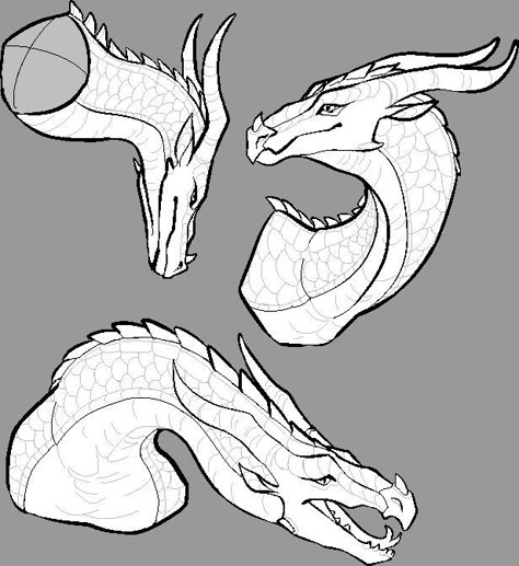 Mythical Anatomy, Dragons Sketch, Fire Reference, Wings Reference, Creatures Mythical, Bases Drawing, Sketch Dragon, Fire Sketch, Drawing Dragons