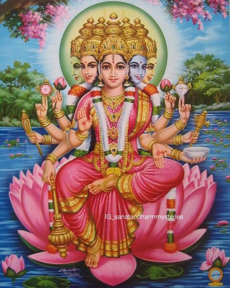 Gayatri Mata, Navratri Devi Images, Maa Lakshmi, Lord Durga, Friday Wishes, Gayatri Devi, Saraswati Goddess, Shakti Goddess, Shiva Parvati Images