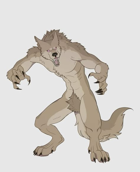 Werewolf Drawing, Werewolf Girl, Werewolf Aesthetic, Werewolf Art, Canine Art, Fantasy Beasts, Fantasy Creatures Art, Mythical Creatures Art, A Wolf