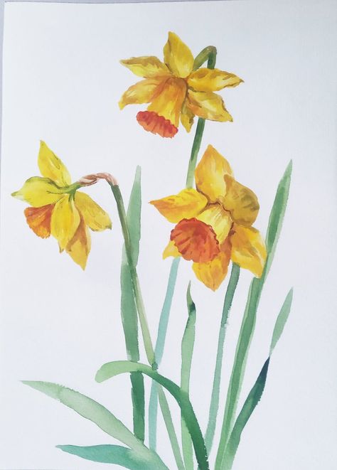 Daffodil Drawing, Daffodil Painting, Daffodil Yellow, Yellow Watercolor, Violet Flowers, Daffodil Flower, Diy Watercolor Painting, African Violet, Watercolor Flower Art