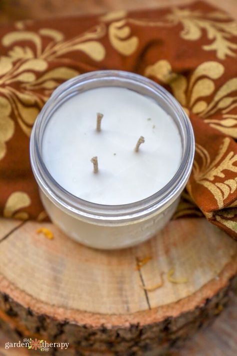 How to Make Simple 3 Wick Candles - Garden Therapy Homemade Candle Wick, Diy Candle Wick, Three Wick Candle, Garden Therapy, Soy Recipes, 3 Wick Candle, Garden Candles, Canned Heat, Homemade Candles