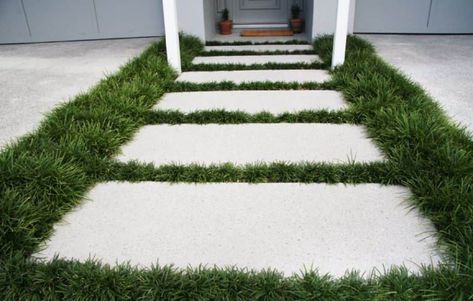 Ground Cover Plants Between Pavers Plants Between Pavers, Backyard Grass Landscaping, Backyard Pavers, Grass Pavers, Playground Landscaping, Pavers Backyard, No Grass Backyard, Backyard Gazebo, Grasses Landscaping